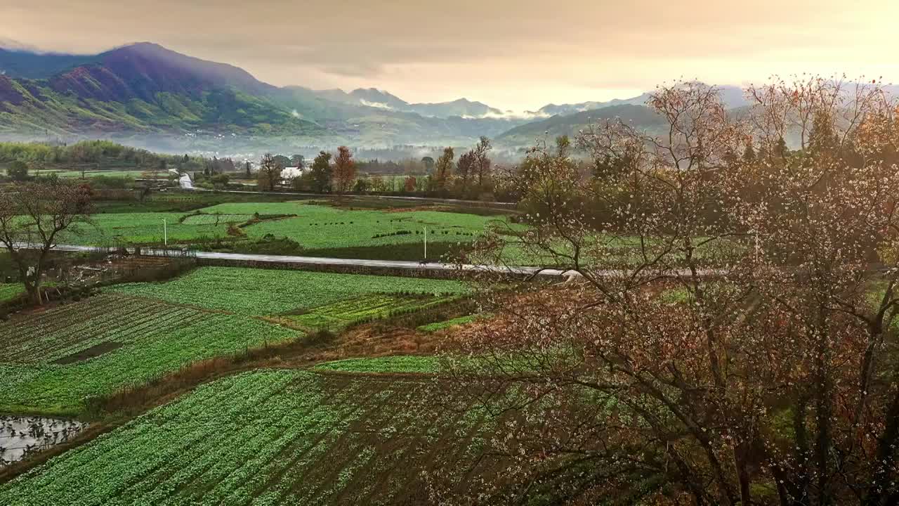 航拍安徽皖南村落清晨日出视频素材