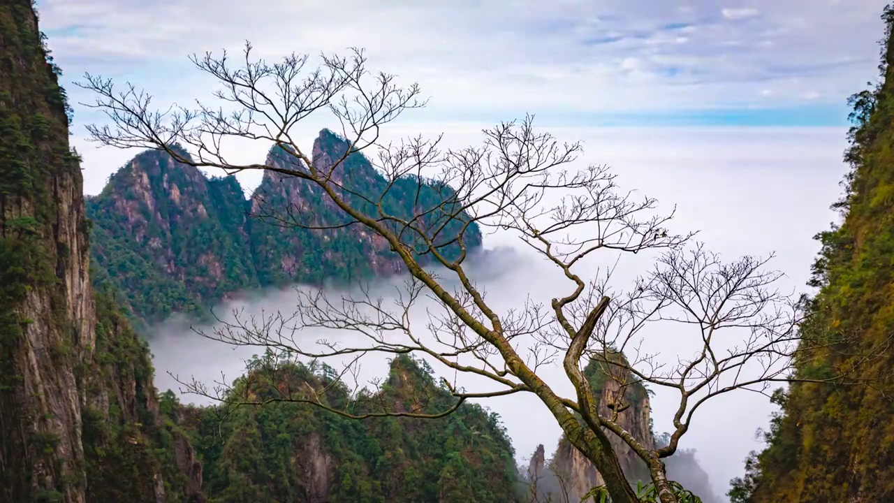 中国湖南郴州莽山景区五指峰的云海视频下载