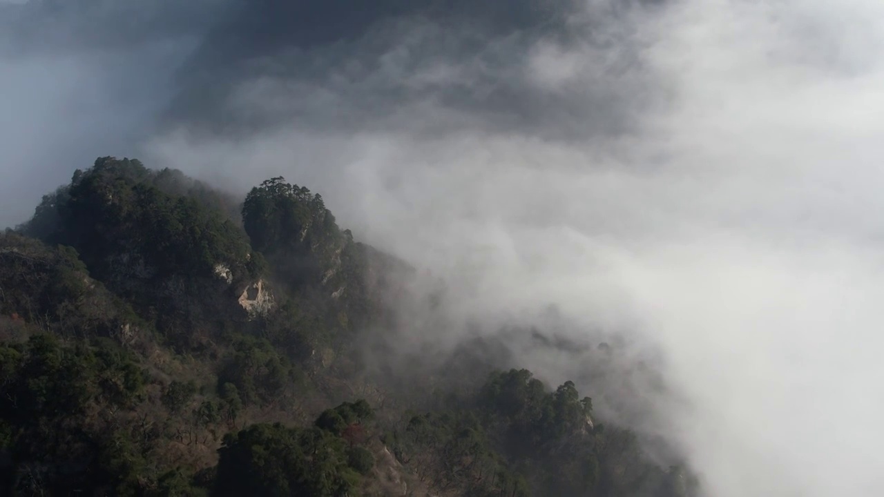 4K航拍中国湖北十堰武当山道观和云海风光视频素材