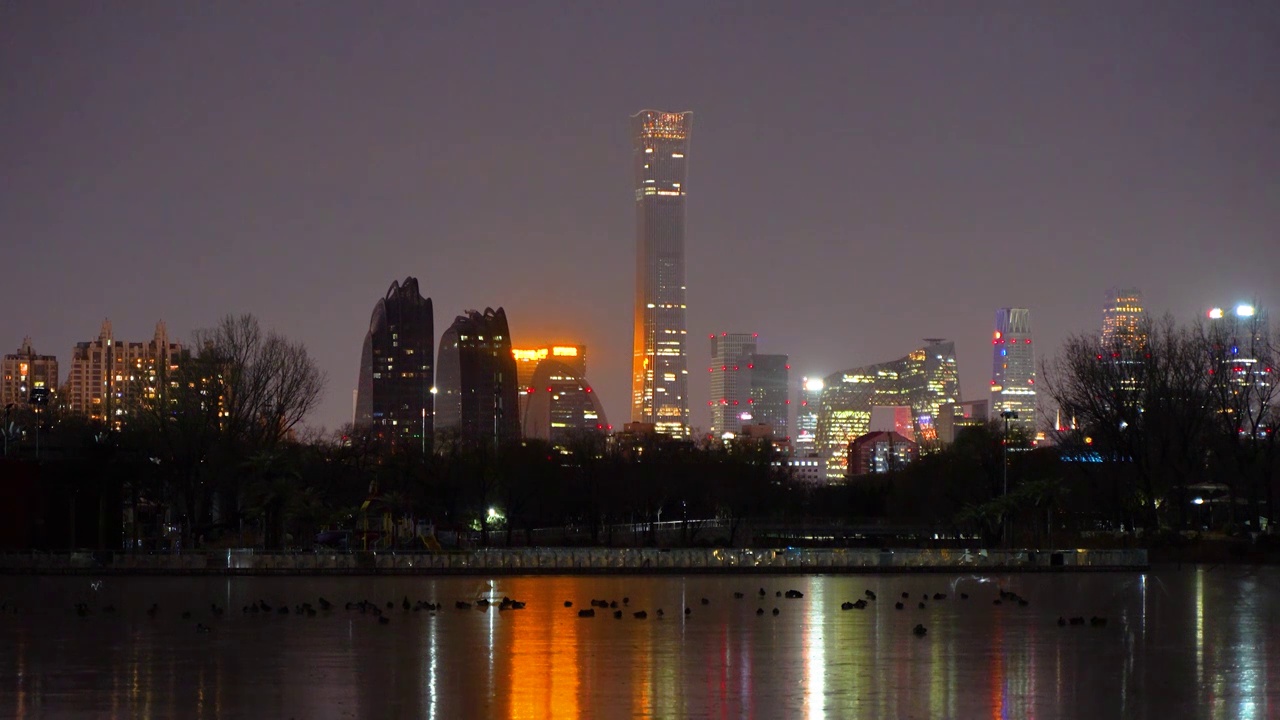 北京CBD夜晚冰面上的倒影和鸭子视频素材