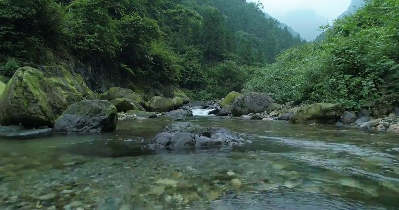 四川峨眉山下青山溪流清澈山泉视频素材