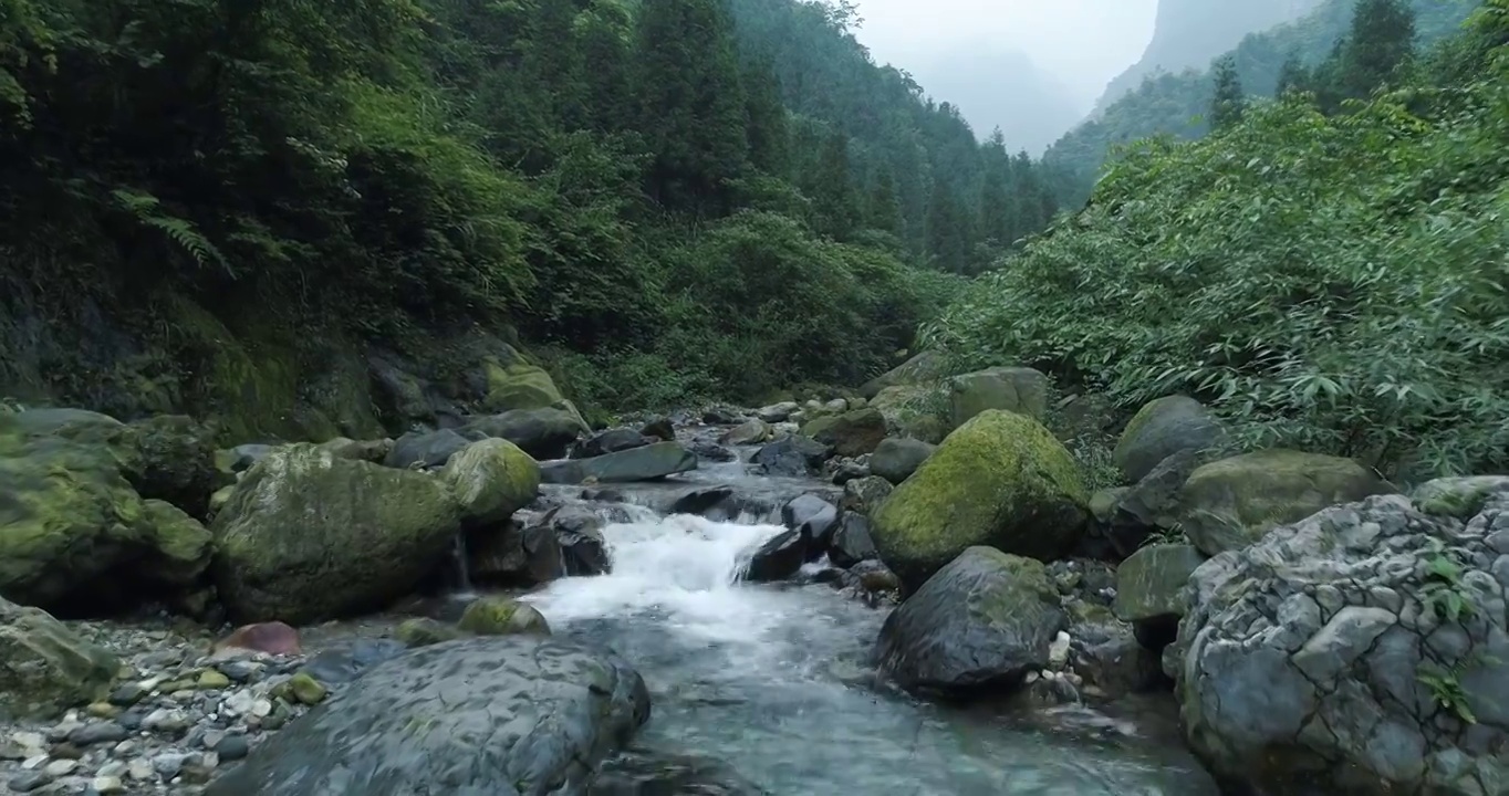 四川峨眉山下青山溪流清澈山泉视频下载