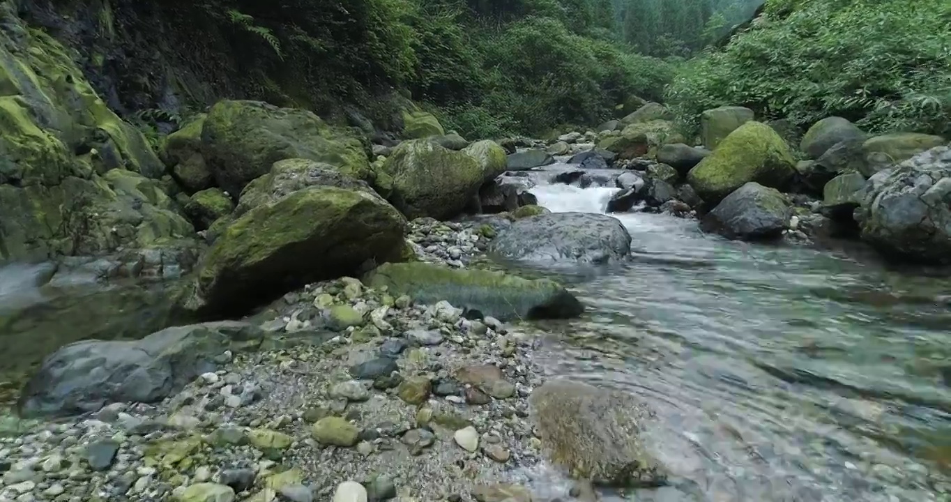 四川峨眉山下青山溪流清澈山泉视频素材