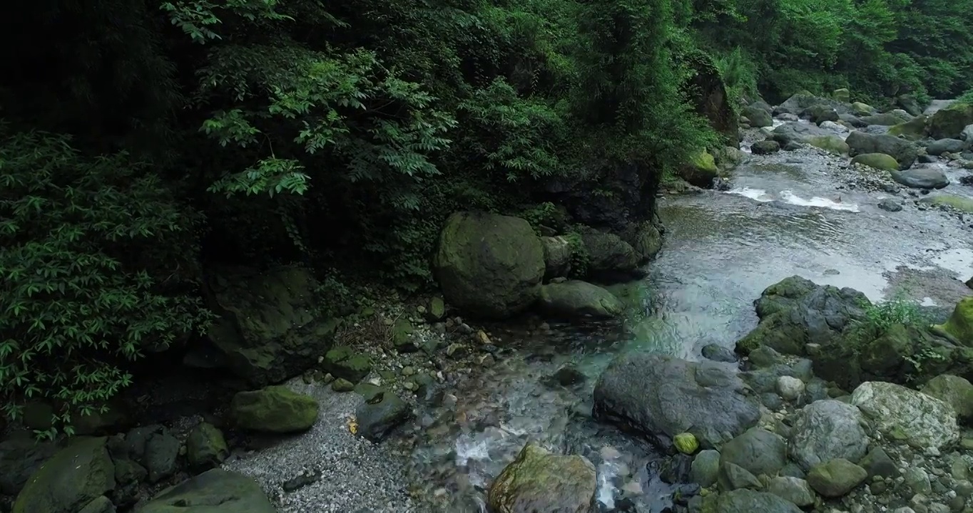 航拍夏天四川峨眉山后山清澈溪流环境优美视频素材