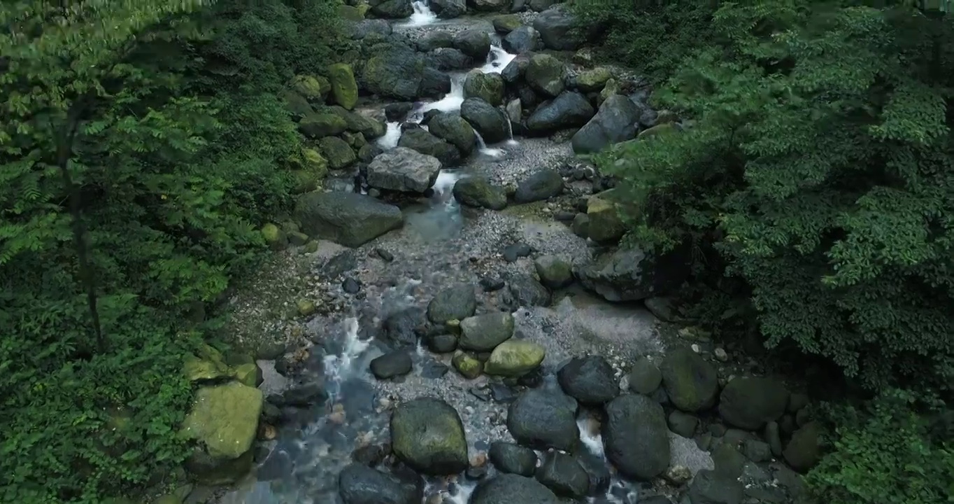 高角度航拍夏天四川峨眉山后山清澈溪流环境优美视频素材