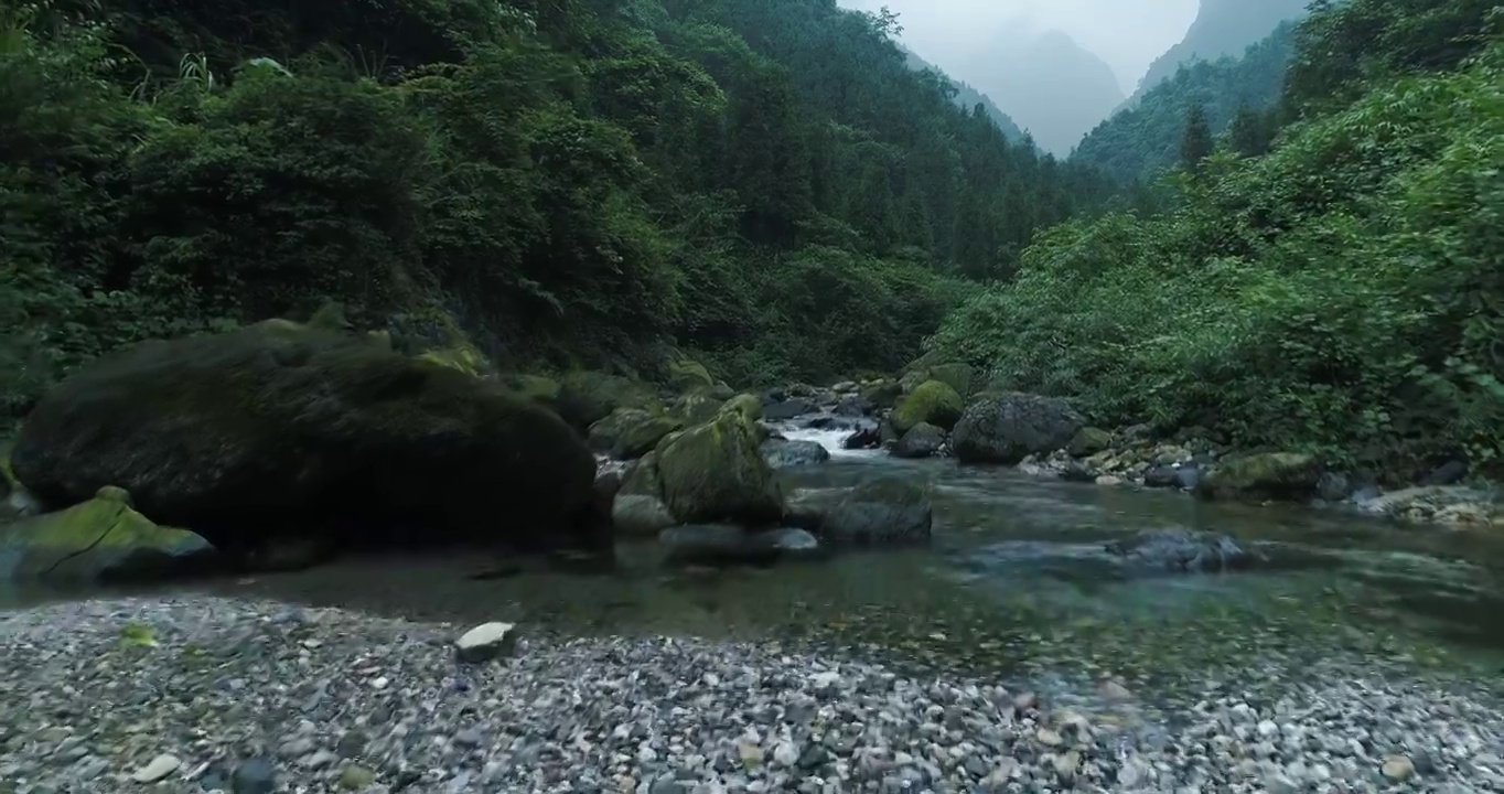 航拍夏天四川峨眉山后山清澈溪流环境优美视频素材