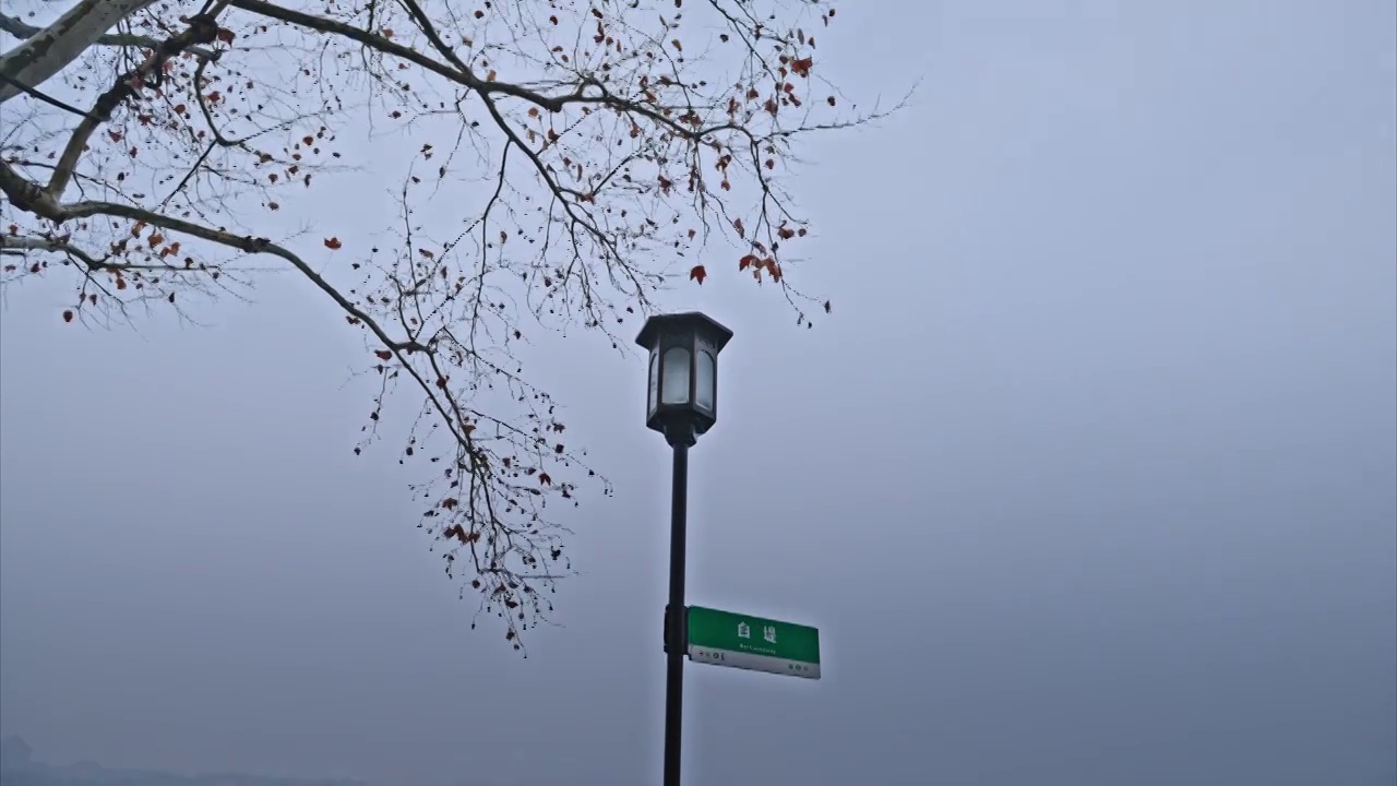 雨西湖视频素材