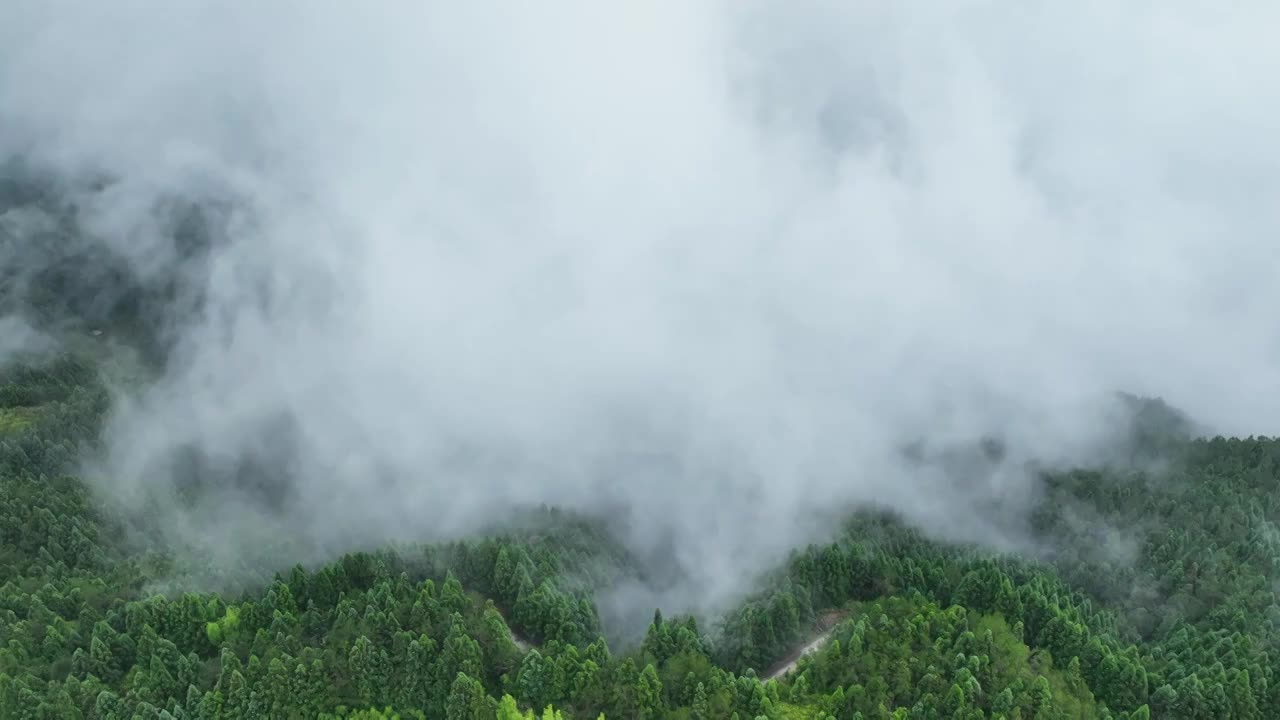 云雾缭绕森林群山顶乡村山川云海大自然振兴视频素材