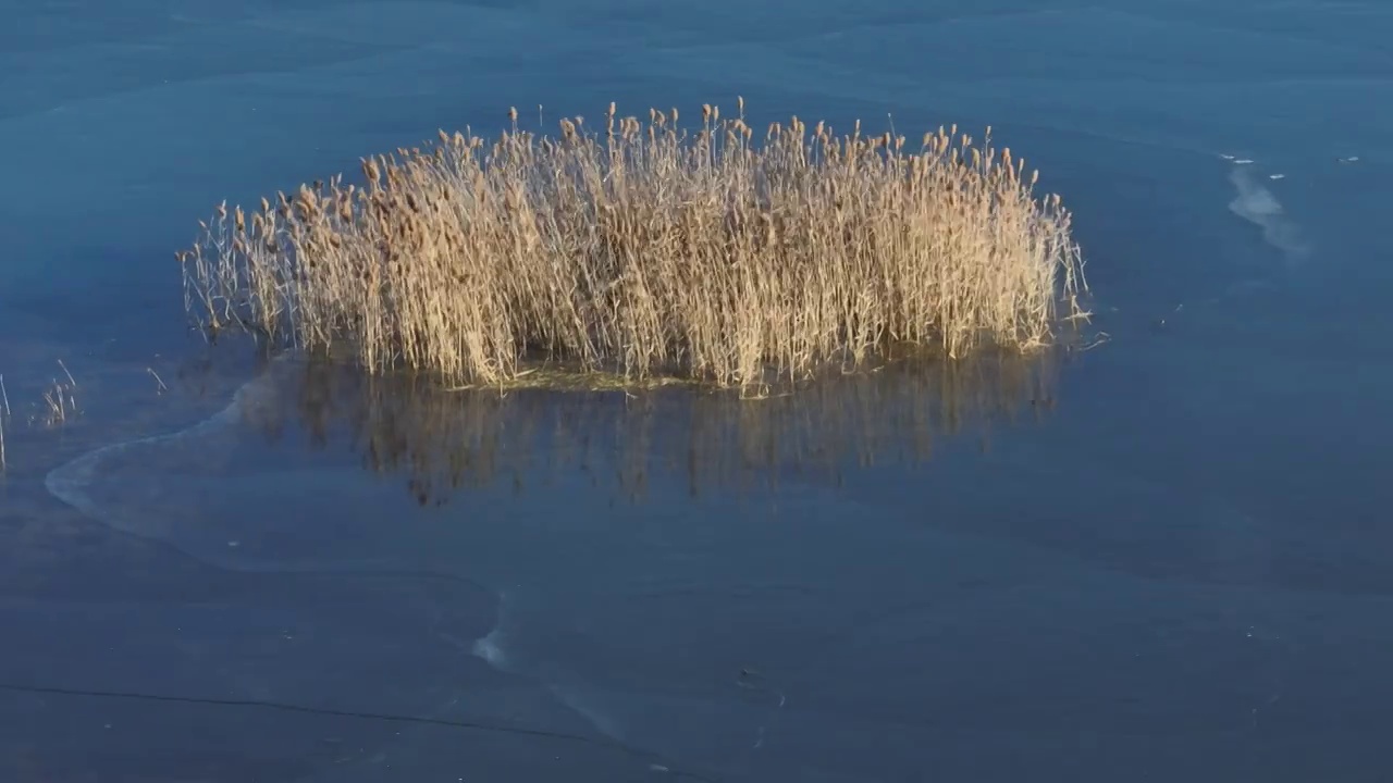 北京怀柔水库冬天水草航拍视频素材