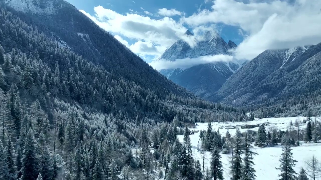 四川阿坝四姑娘山雪山雪景雾凇林海航拍视频素材