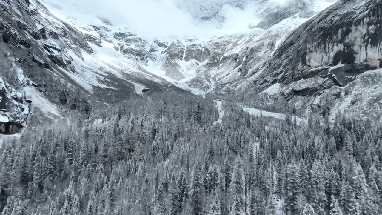 四川阿坝四姑娘山雪山雪景雾凇林海航拍视频素材