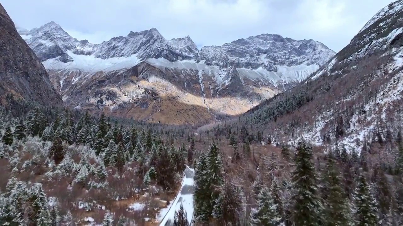 四川阿坝四姑娘山雪山雪景雾凇林海航拍视频素材