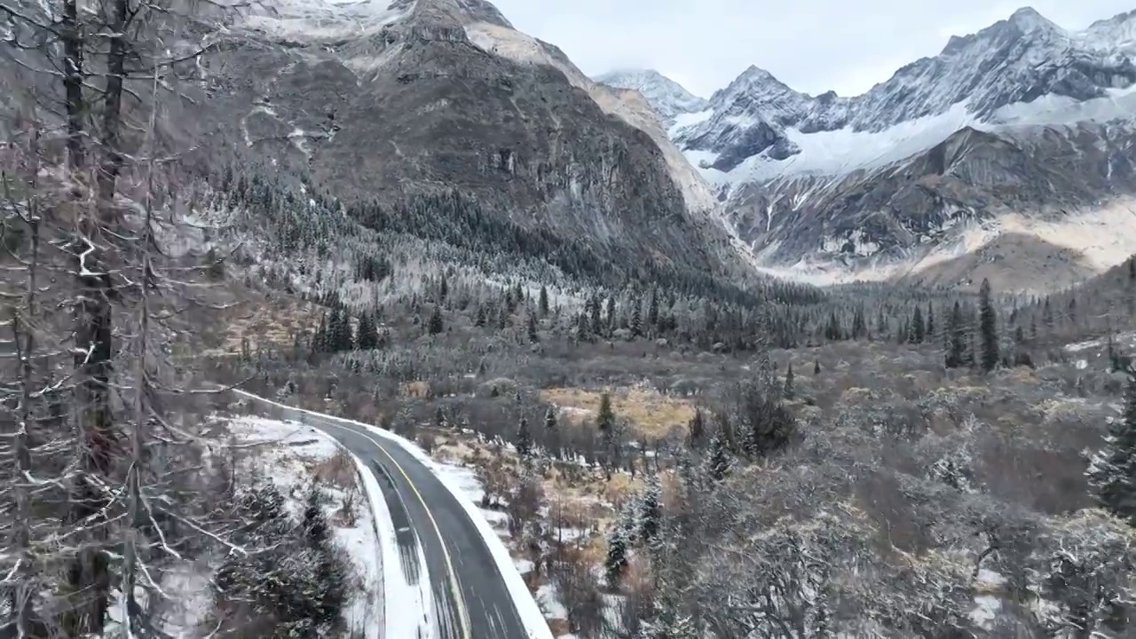 四川阿坝四姑娘山雪山雪景雾凇林海航拍视频素材