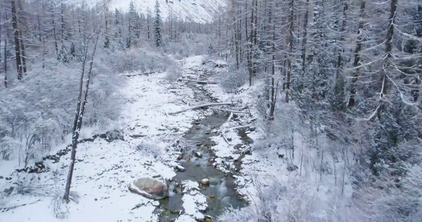 冬季航拍四姑娘山双桥沟雪景森林溪谷视频下载