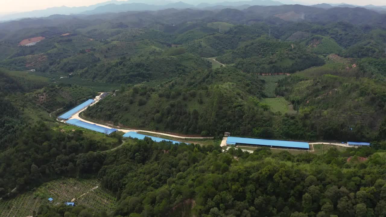 山里养殖基地（合集）视频素材