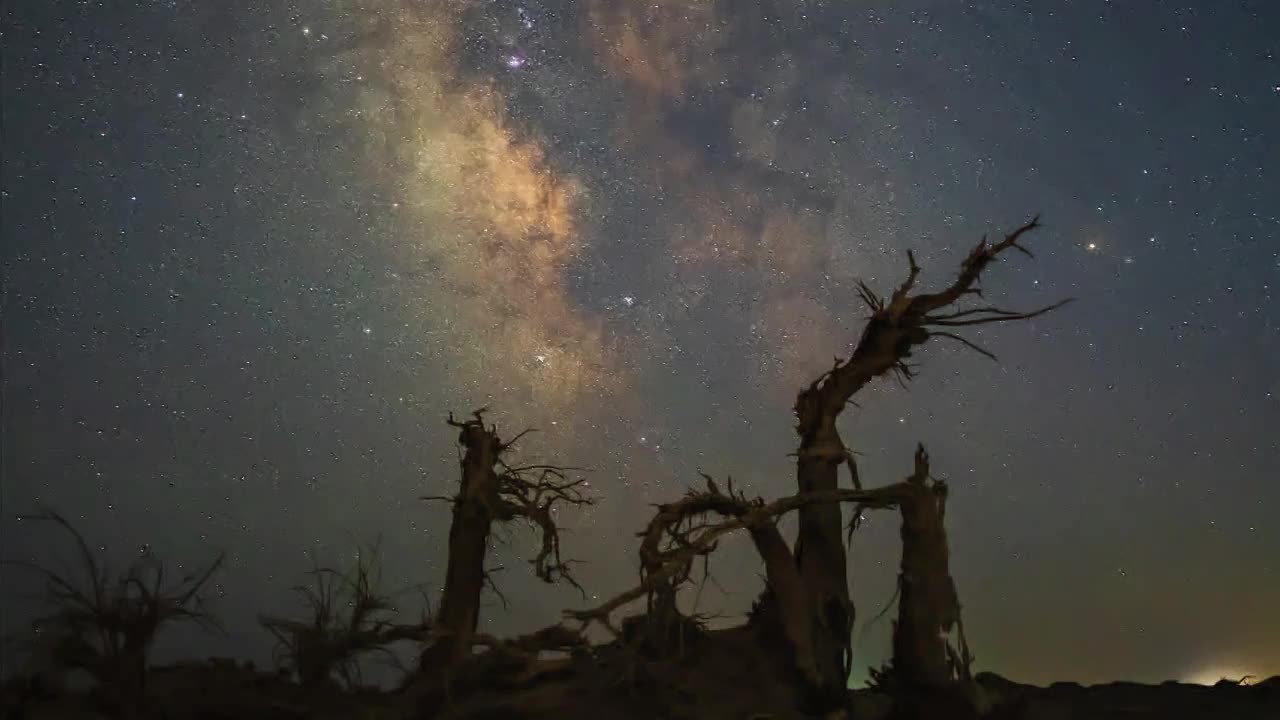 内蒙额济纳旗胡杨林星空银河视频素材