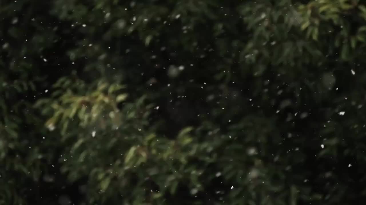 雪花从空中飘落慢动作升格画面视频素材