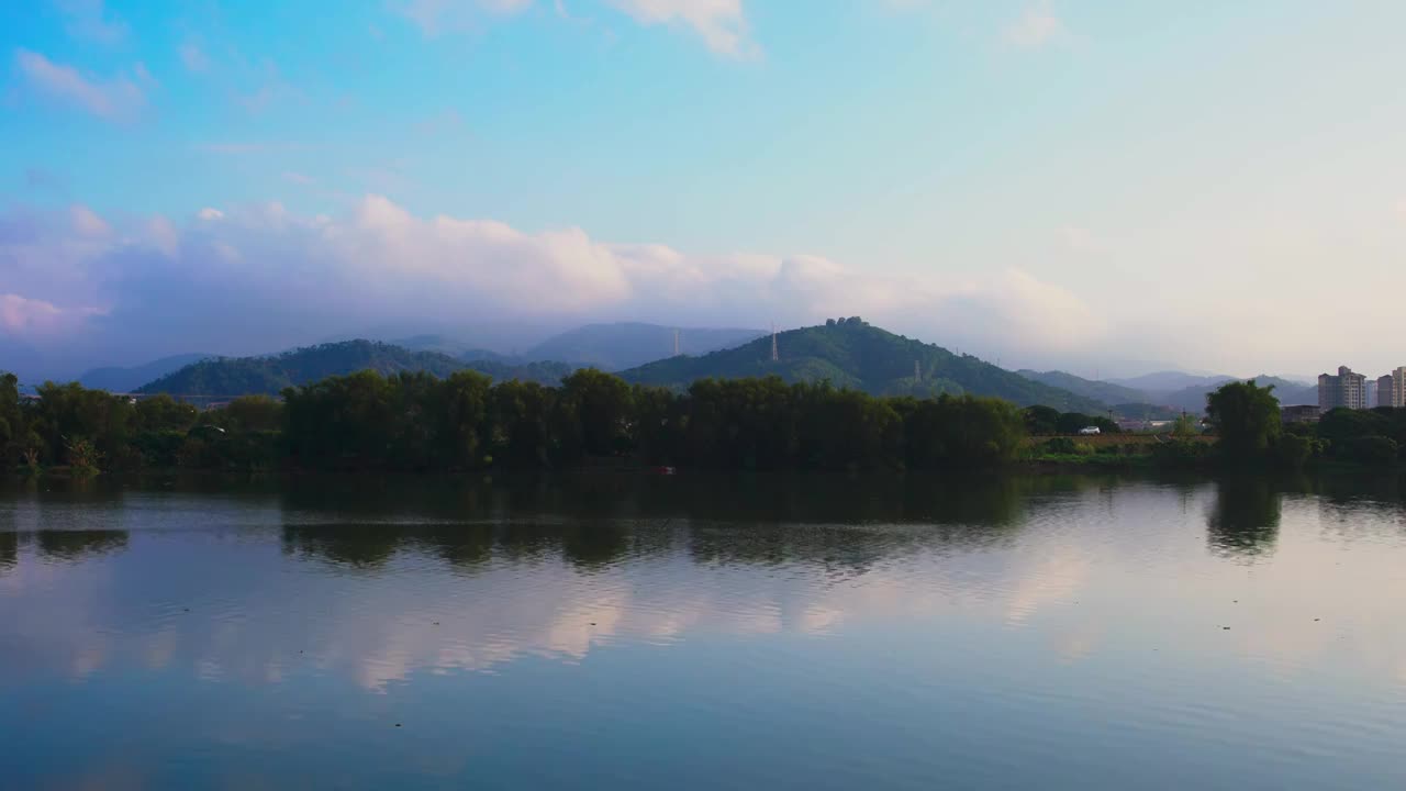 鹤舞飞翔蓝天白云白鹭飞过湖面视频素材