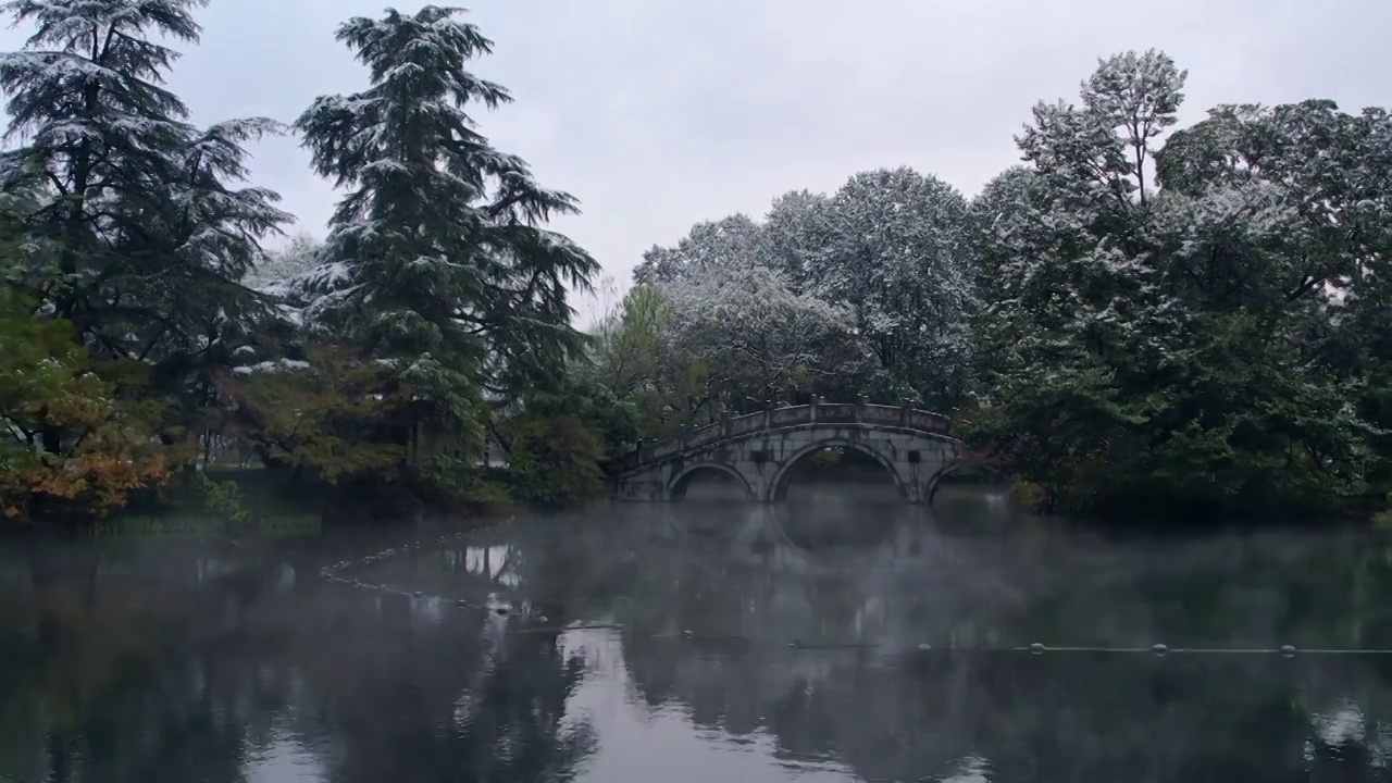 杭州杨公堤雪景视频素材