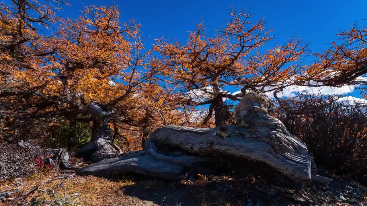 8K白马雪山延时素材视频素材