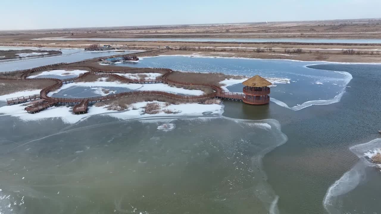 航拍冬天的东营黄河口湿地视频素材