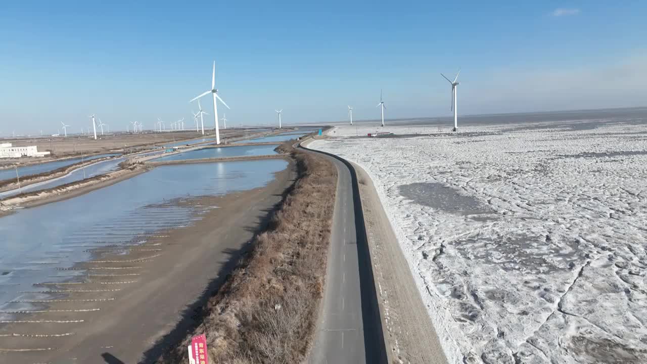 航拍冬天的东营黄河口湿地视频素材