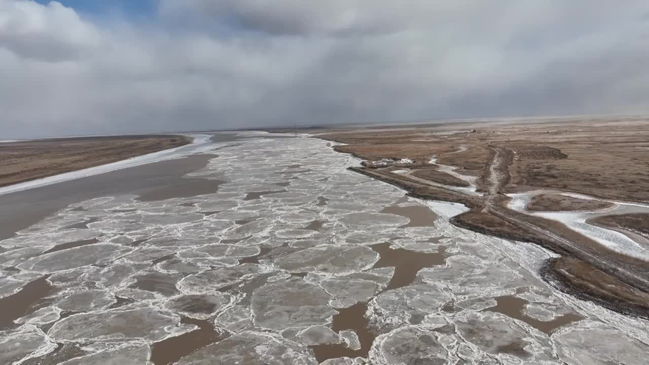 航拍冬天的东营黄河口湿地视频素材