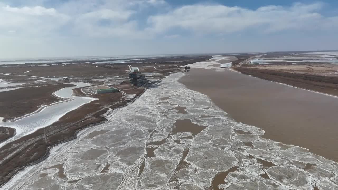 航拍冬天的东营黄河口湿地视频素材