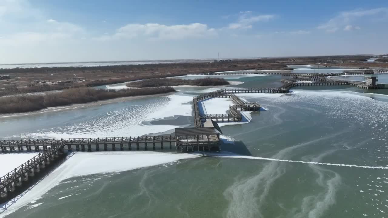 航拍冬天的东营黄河口湿地视频素材