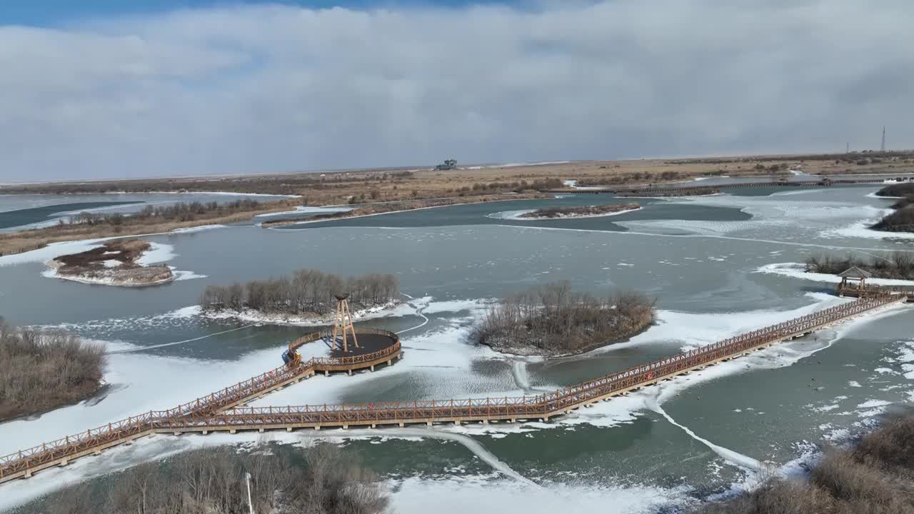 航拍冬天的东营黄河口湿地视频素材