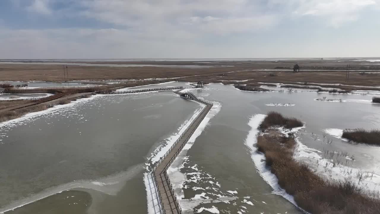 航拍冬天的东营黄河口湿地视频素材