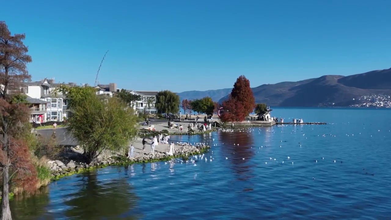 大理洱海边唯美风景航拍视频素材