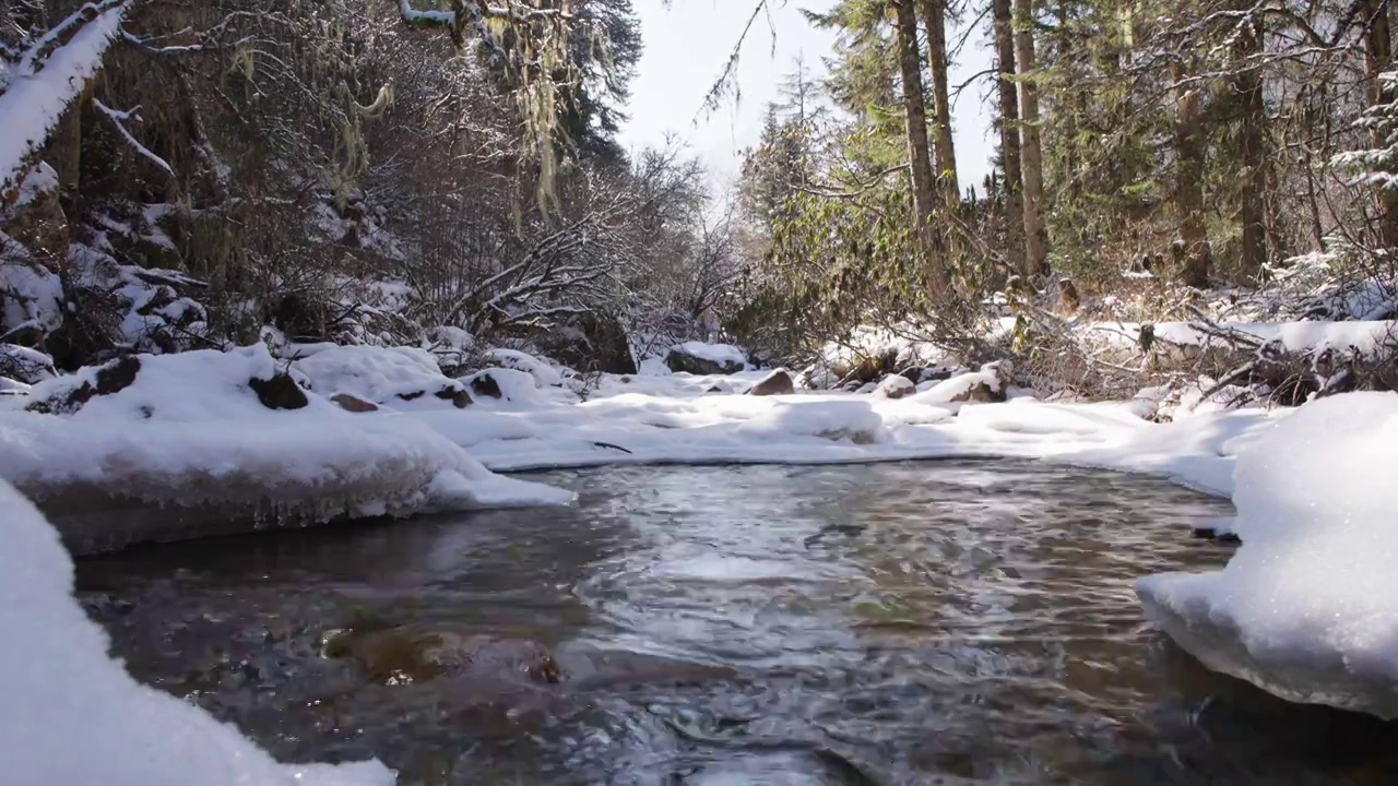 雪景小溪四川毕棚沟美景视频素材