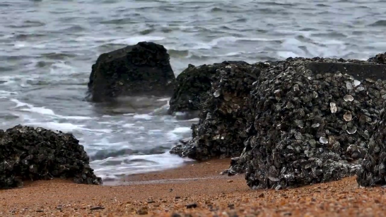 白昼大海海滩视频素材