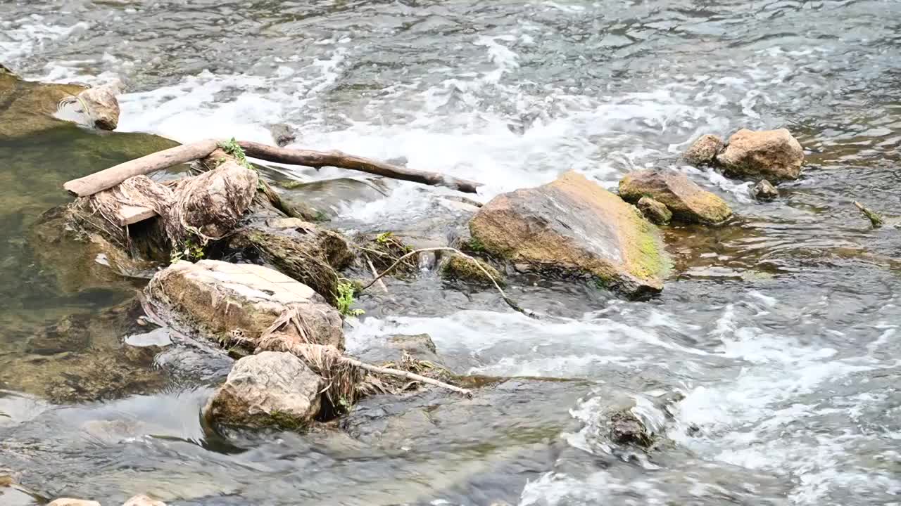 被污染的溪流视频素材