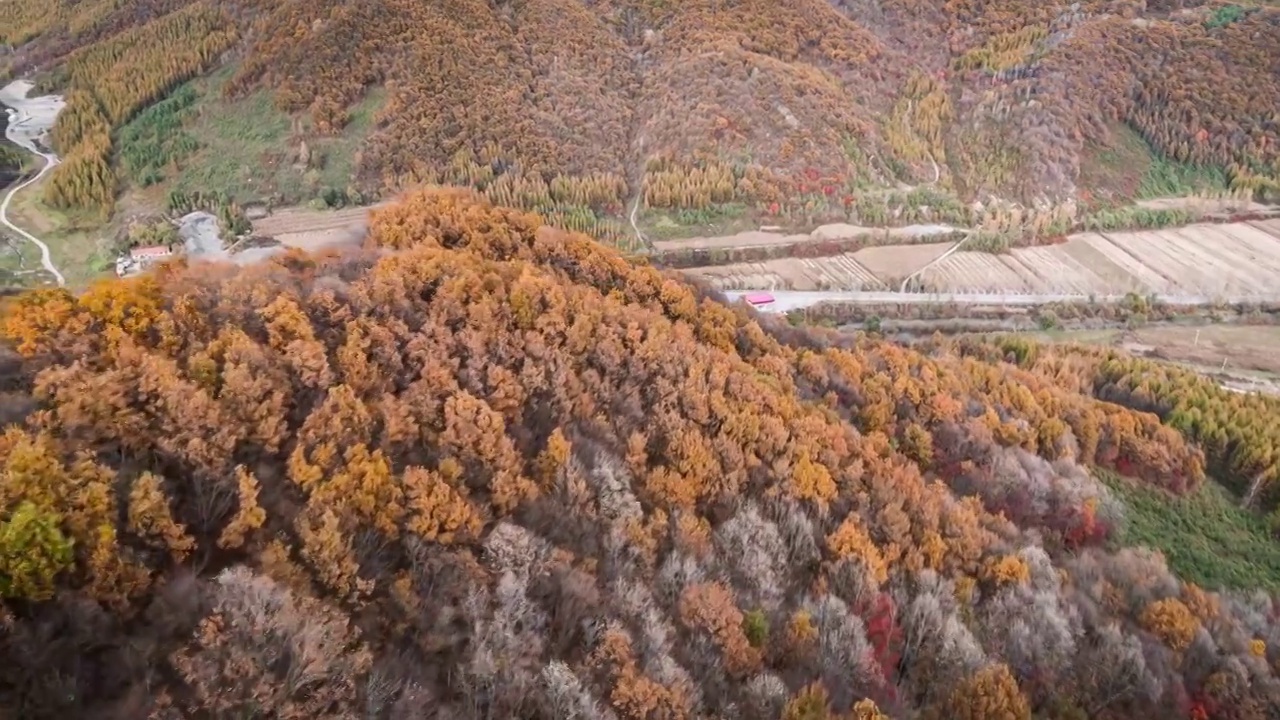 秋季的山林视频素材