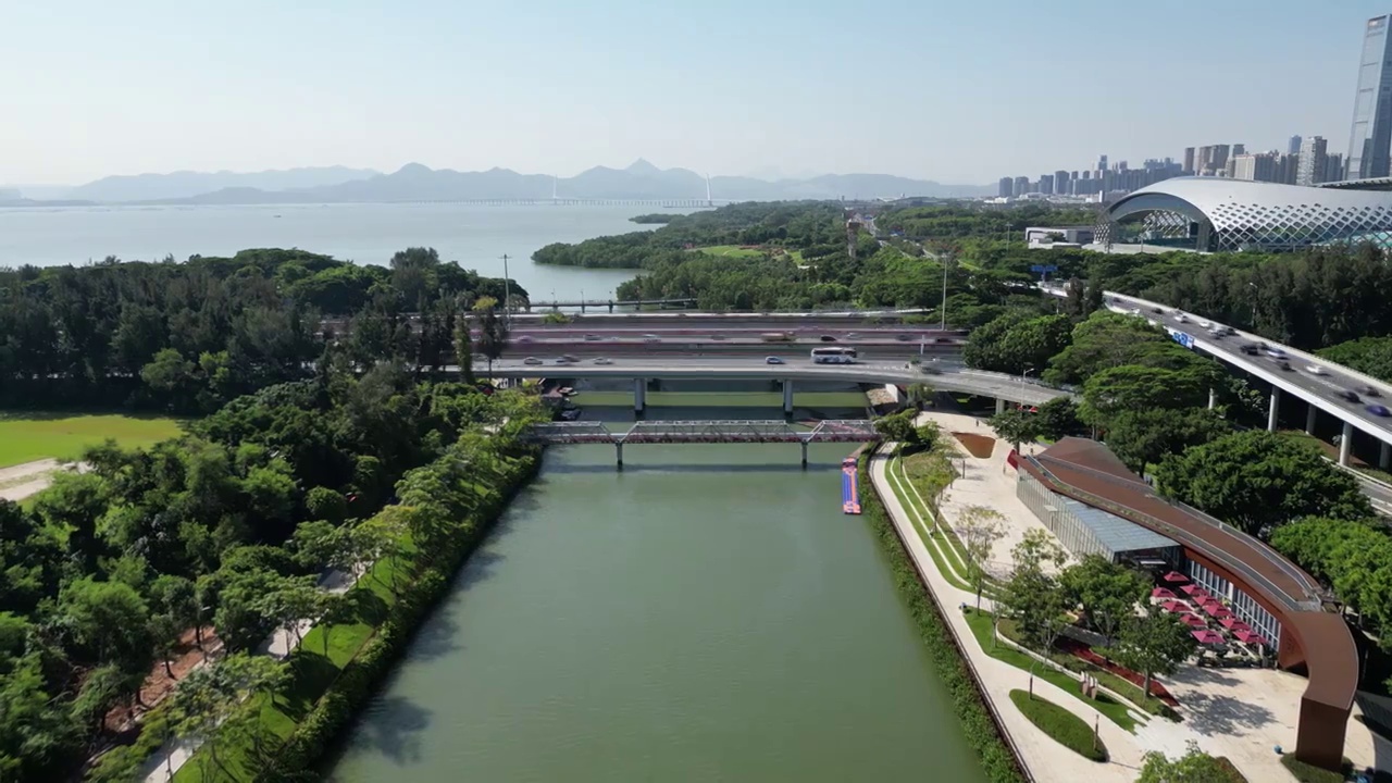 深圳大沙河入海口，深圳湾公园视频素材