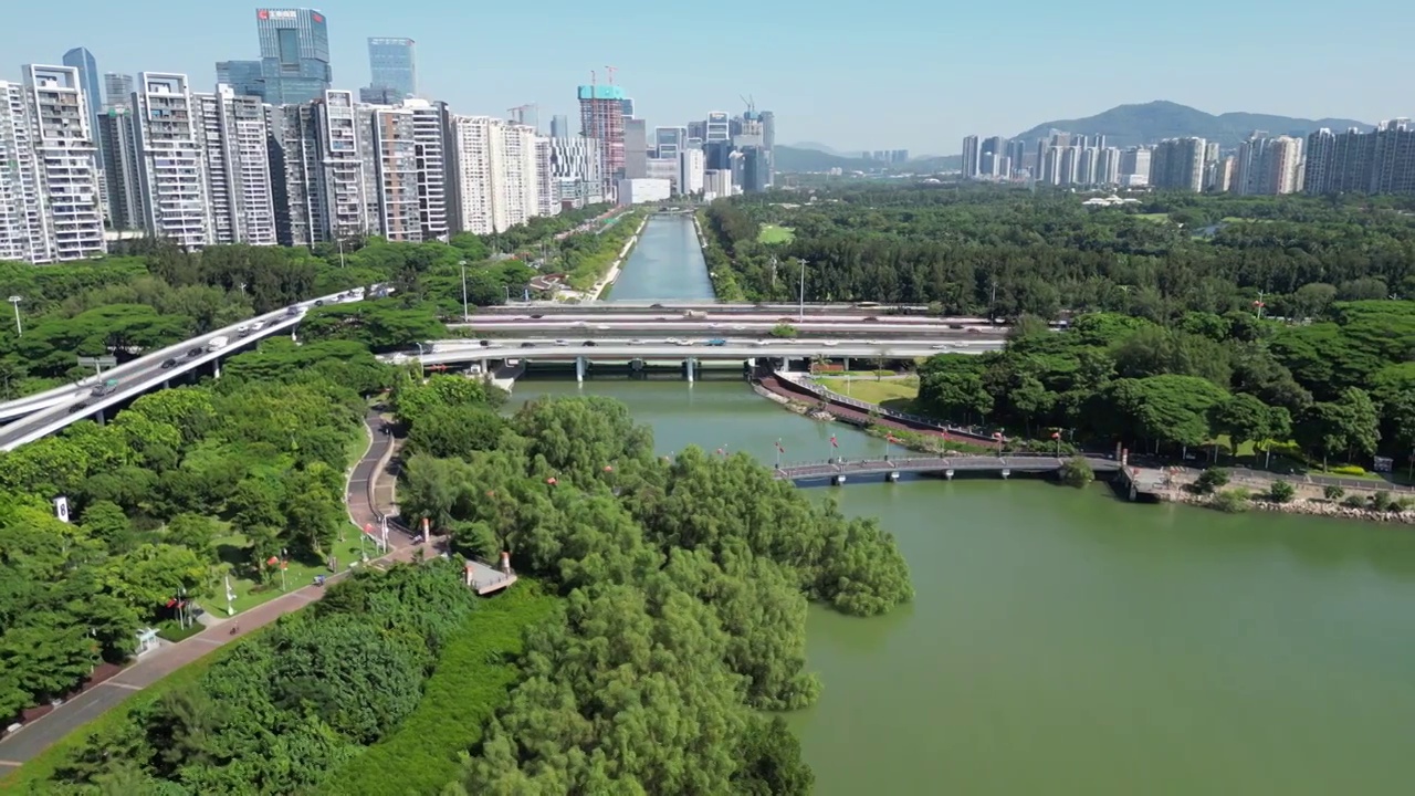 深圳大沙河入海口，深圳湾公园视频素材