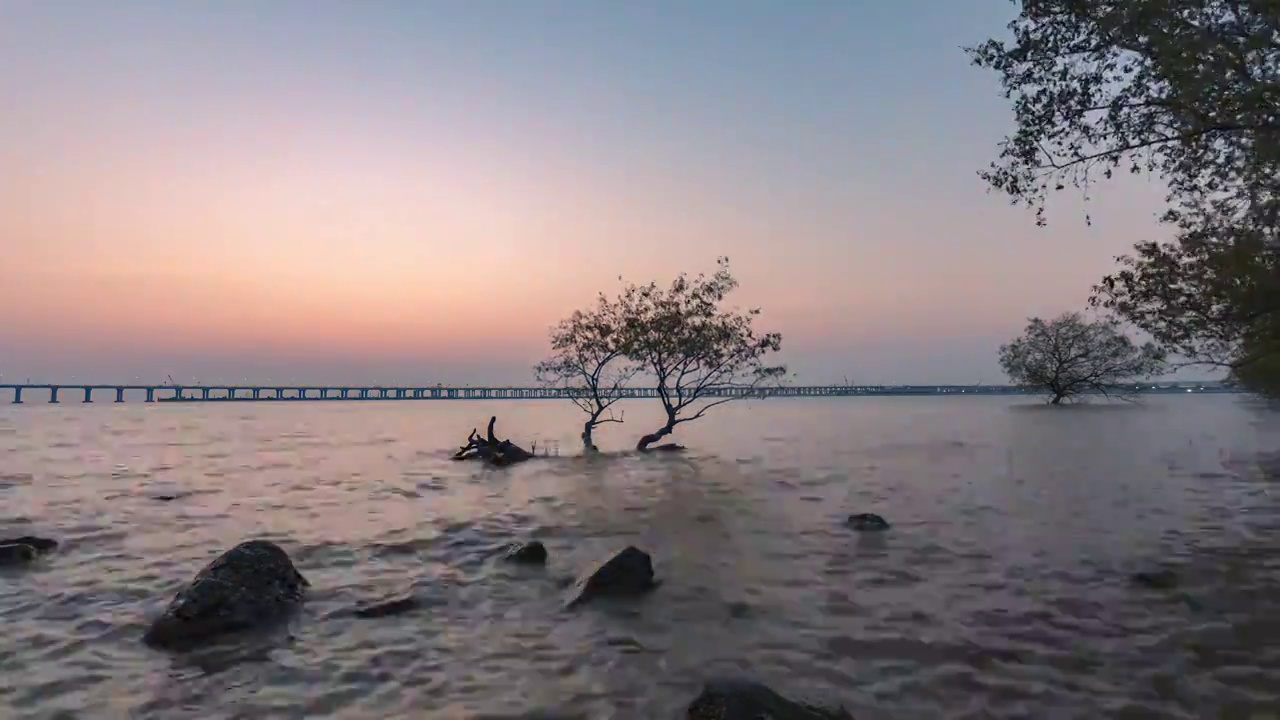 深圳西湾红树林日落美景视频素材