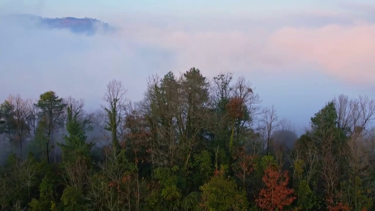 敬南祭山脚烟消云散视频素材