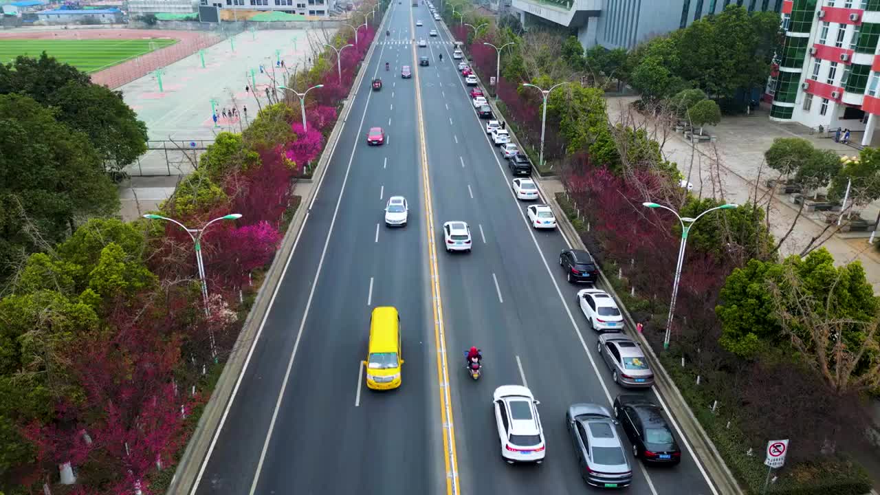 苍溪交通道路车流视频素材