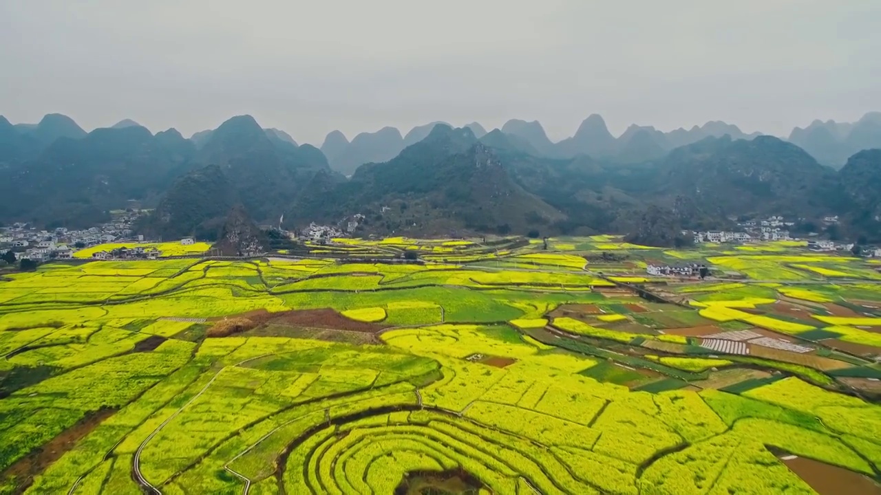 春季航拍贵州黔西南兴义万峰林与八卦田油菜花海视频素材