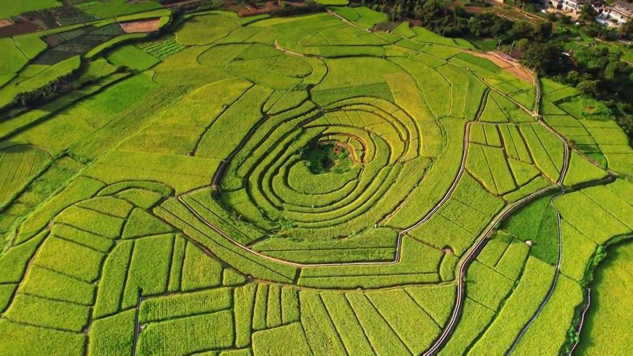 万峰林秋季八卦田 稻田视频素材