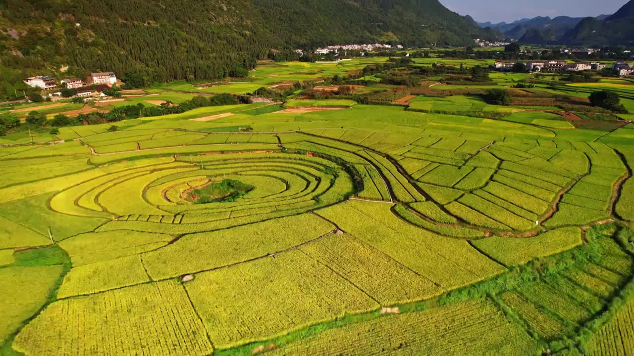 万峰林秋季八卦田 稻田视频素材