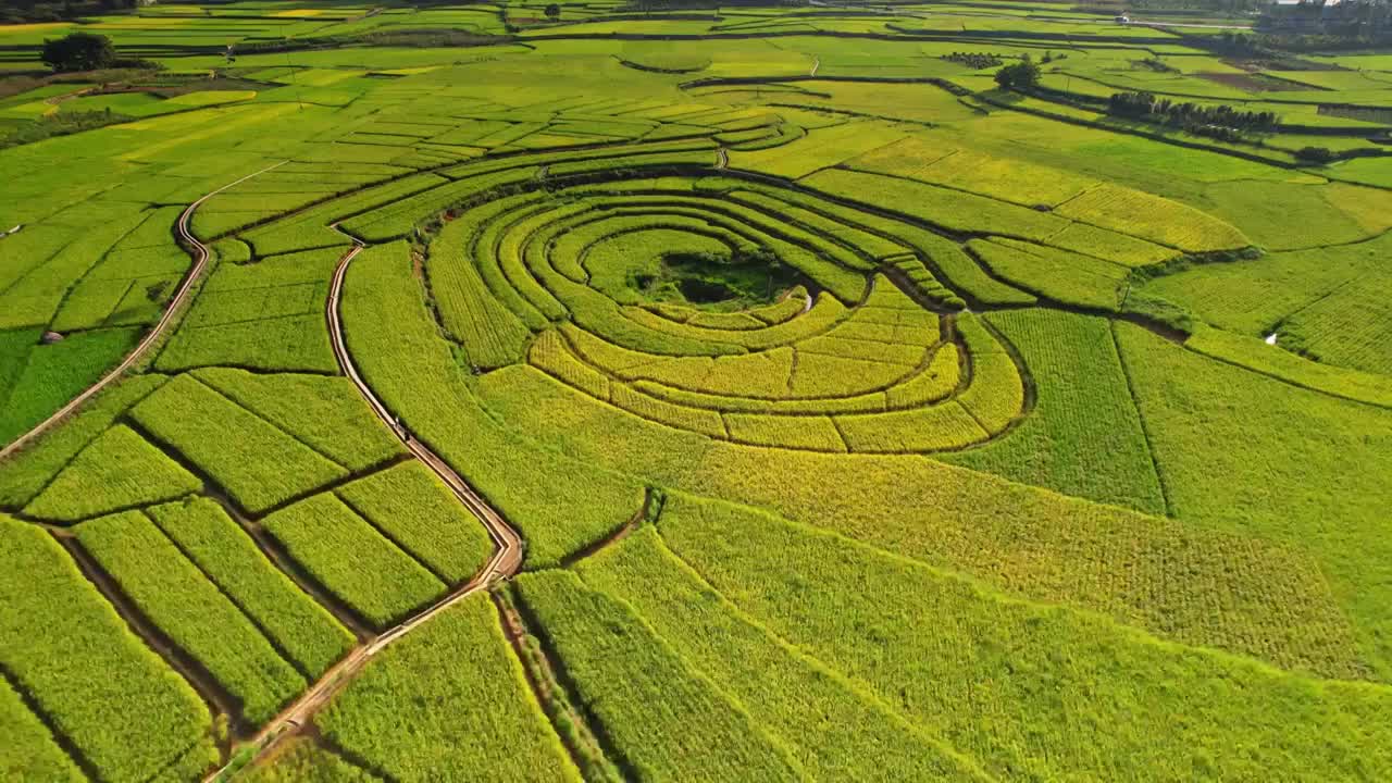 万峰林秋季八卦田 稻田视频素材