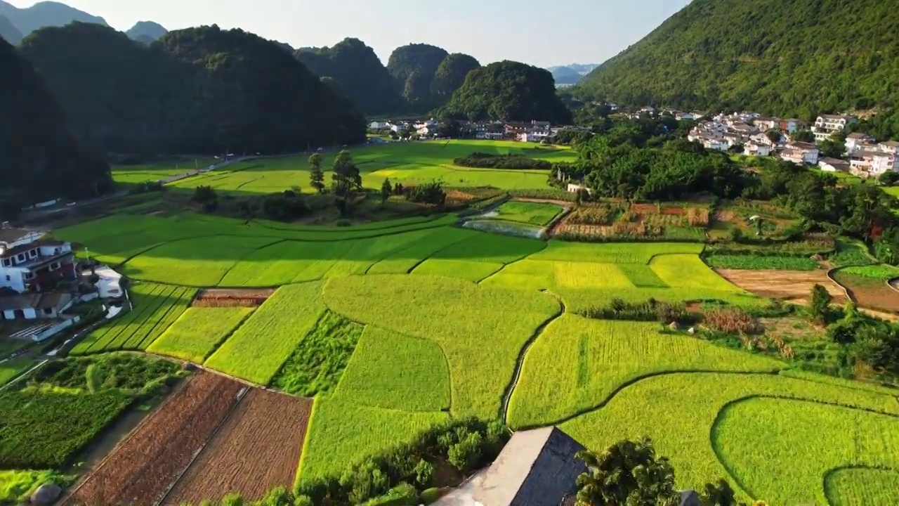 万峰林 秋季农庄稻田居民住宅视频素材