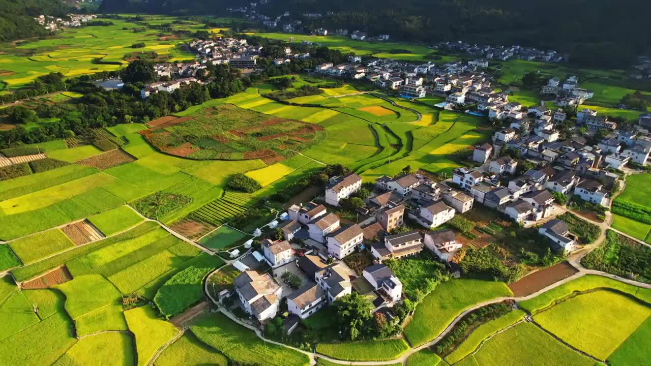 万峰林 秋季农庄稻田居民住宅视频素材