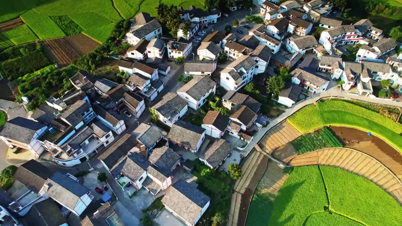 万峰林 秋季农庄稻田居民住宅视频素材