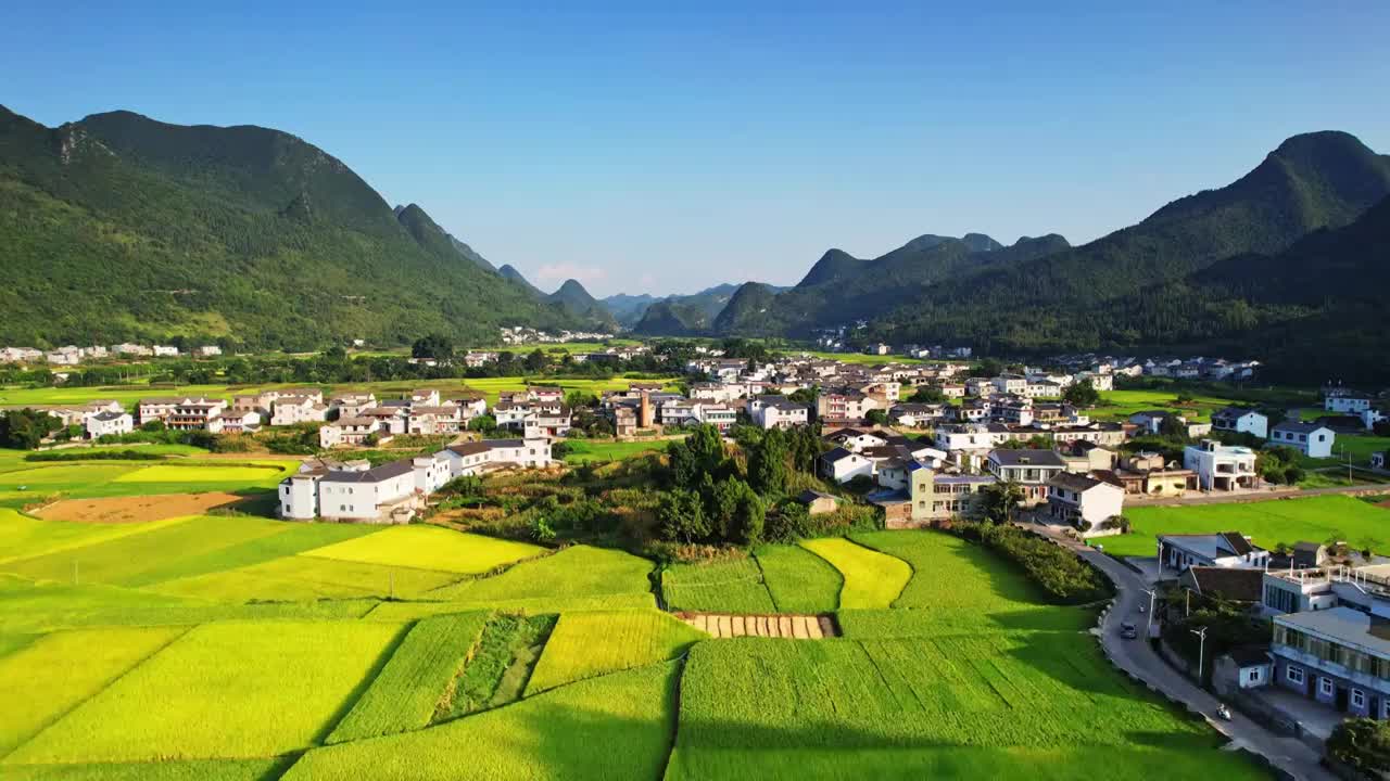 万峰林 秋季农庄稻田居民住宅视频素材