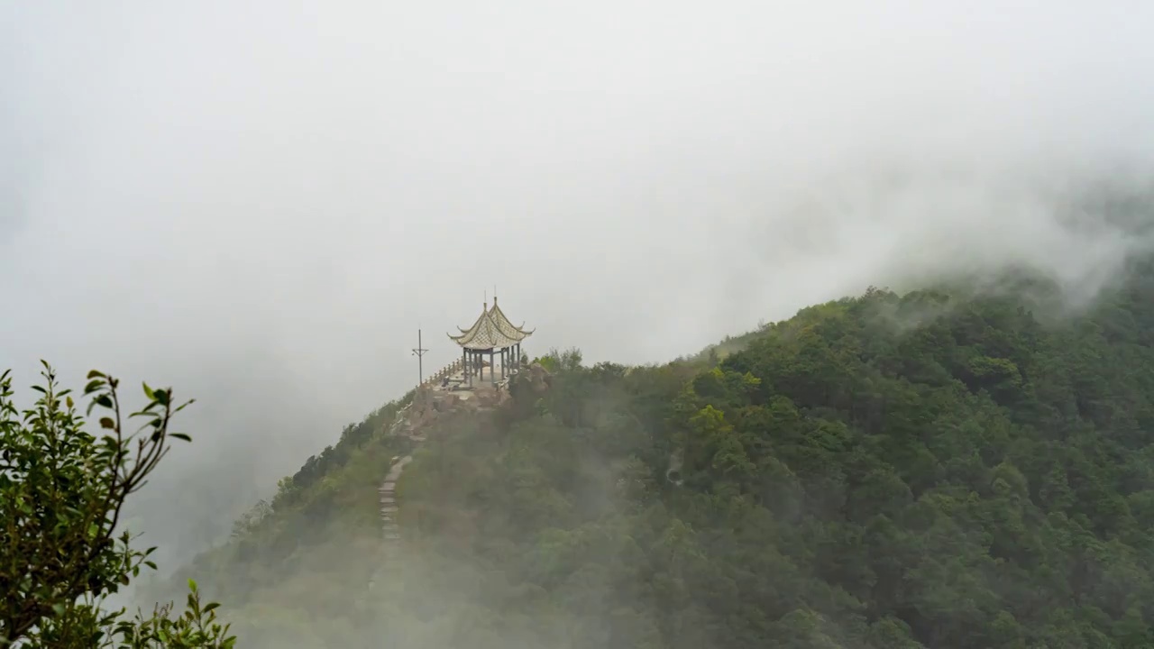 深圳梧桐山中梧桐延时视频素材